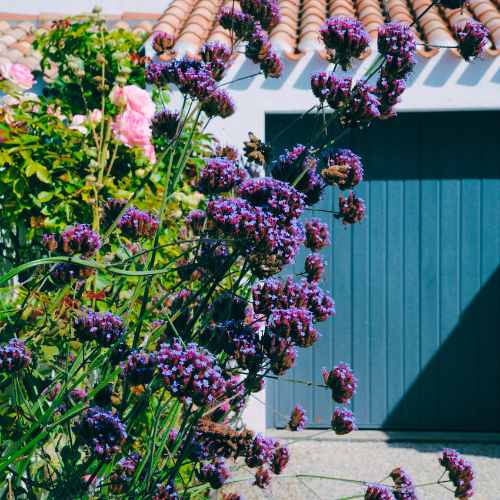 Jardinier Noirmoutier - GreenGardens paysagiste sur noirmoutier